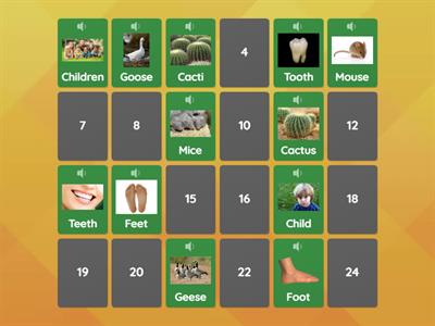 Irregular Plural Nouns