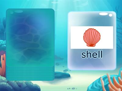 PU1 U9 Beach vocabulary