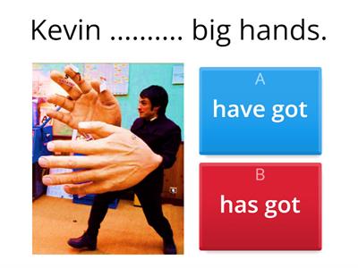 Have got / has got 