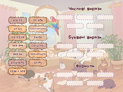 Числові та буквені вирази.