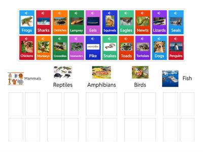 Animal Classification