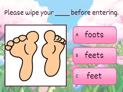 Irregular Plural Nouns