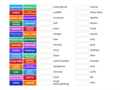Form 6. Unit 2. Vocabulary