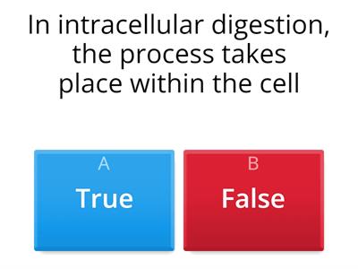 Digestion