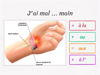 les parties du corps&Avoir mal à