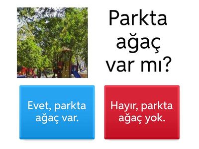 ÖZEL EĞİTİM DİL KOMUŞMA VAR-YOK 