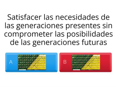 Desarrollo Sustentable 