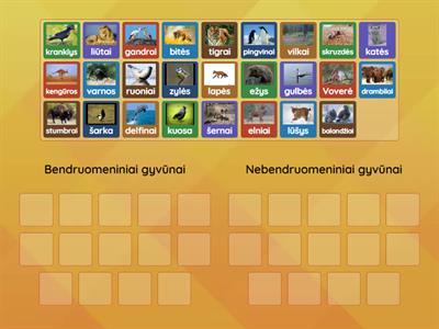 Kurie gyvūnai gyvena bendruomenėmis? 