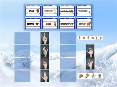 ASL Handshape Matching - "The Mitten" Animals