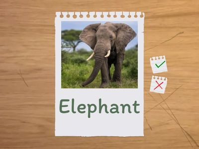 Слова алфавит