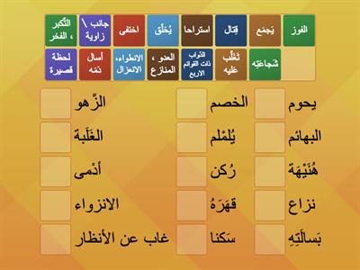 معاني كلمات نص  " زين الدين زيدان 