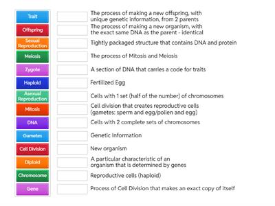 Reproduction and Cell Division Review