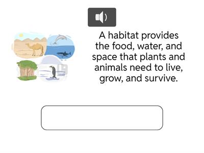 Listening 1 - Listen and type