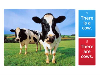 There is or There are