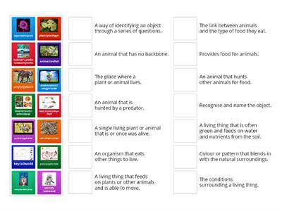 Habitat Definitions 9