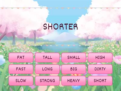 COMPARATIVE ADJECTIVES 6TH FORM 