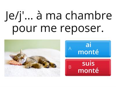 Passé composé: avoir ou être?