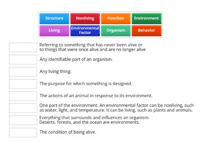 Environments: Vocab Review 1