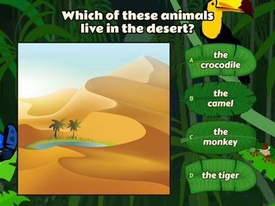 English Test N°6 - 6th Grade (Animals' Habitats)