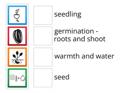 Germination parts First Level