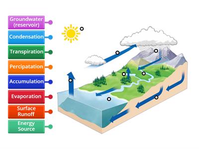 Water Cycle Labeled Diagram 