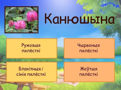 Маляняты. Колеры і Кветкі.