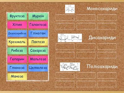 НМТ "Вуглеводи"