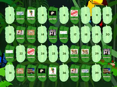 Take Flight Lesson 95 tial, tian, tient, tious