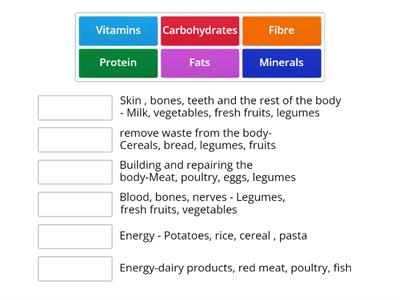 Fitness - Food Nutrients 