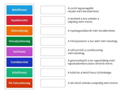 Egyezés test méret