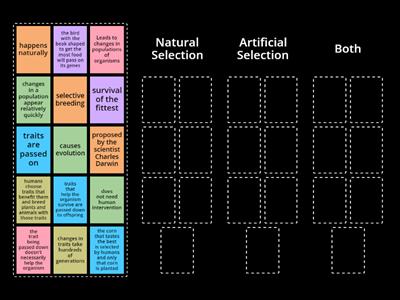  Natural Selection vs Artificial Selection