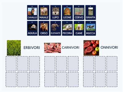 ANIMALI: ERBIVORI, CARNIVORI, ONNIVORI