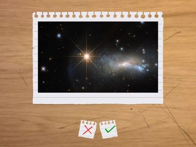 Окружающий мир