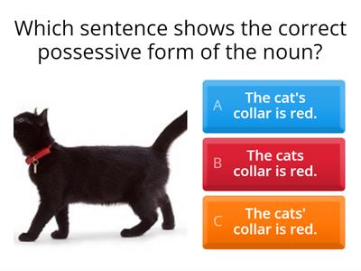 Possessive Nouns