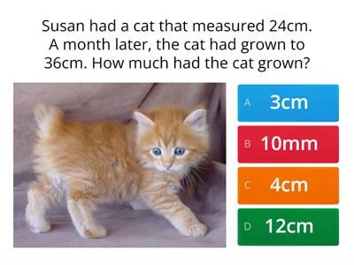 Measurement word problem quiz