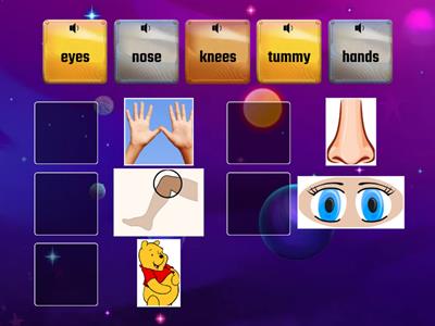 body parts