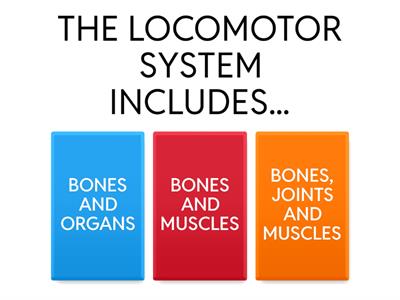LOCOMOTOR SYSTEM