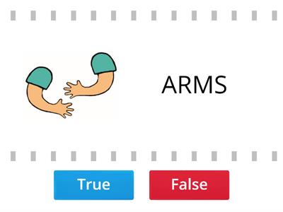 BODY PARTS true or false?