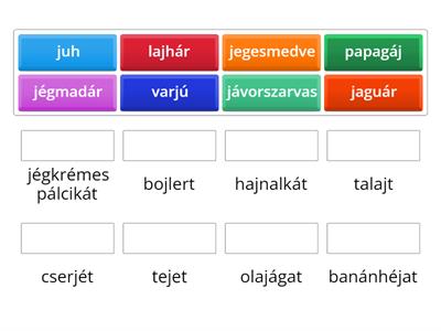 A sirály a király? - Jé, egy j!