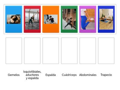 Identificando estiramientos y músculos