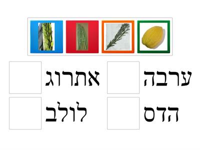 ארבעת המינים