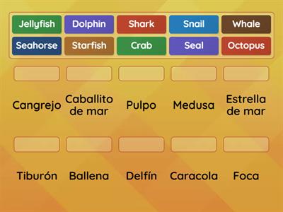 English Vocabulary Unit 5