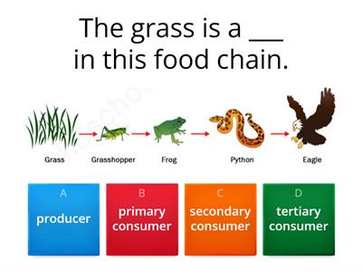 Organisms - Ecosystems