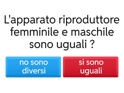 Apparato riproduttore quiz