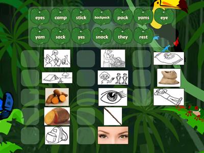 Hickey 12 (y) - 2 with hickey picts