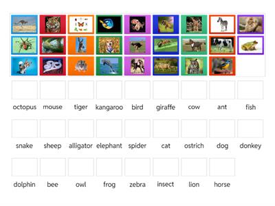 Round Up Starter U2 Animals