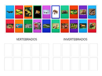  Animales vertebrados e invertebrados