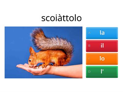 Articoli il, la, lo, l'