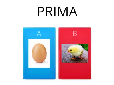 PRIMA E DOPO