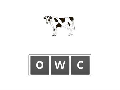 Succeed Starters Test 7